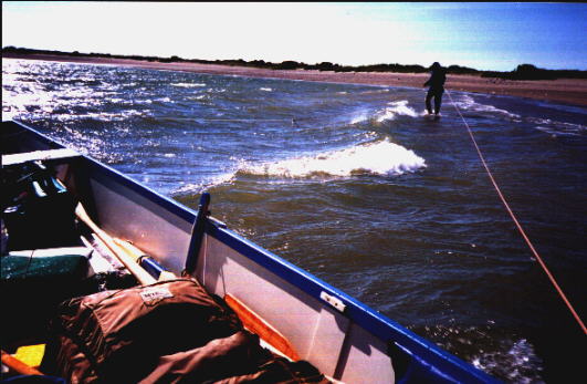 "Lining" the boat upwind--harder work than rowing!